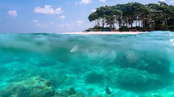 andaman-under-water-beach