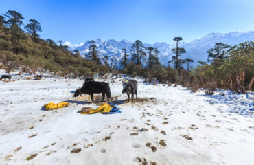 sikkim-somewhere