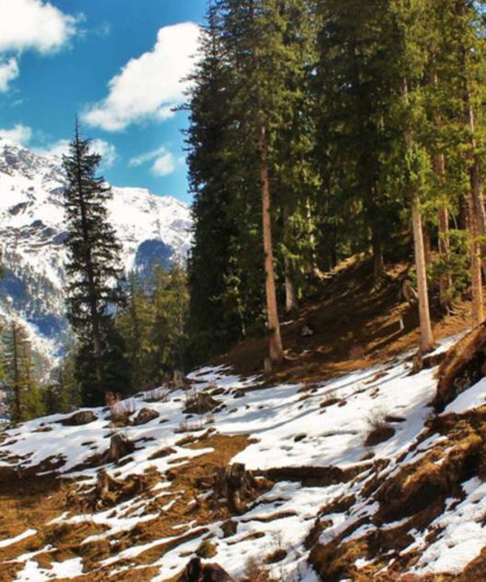 kasol chalal trek